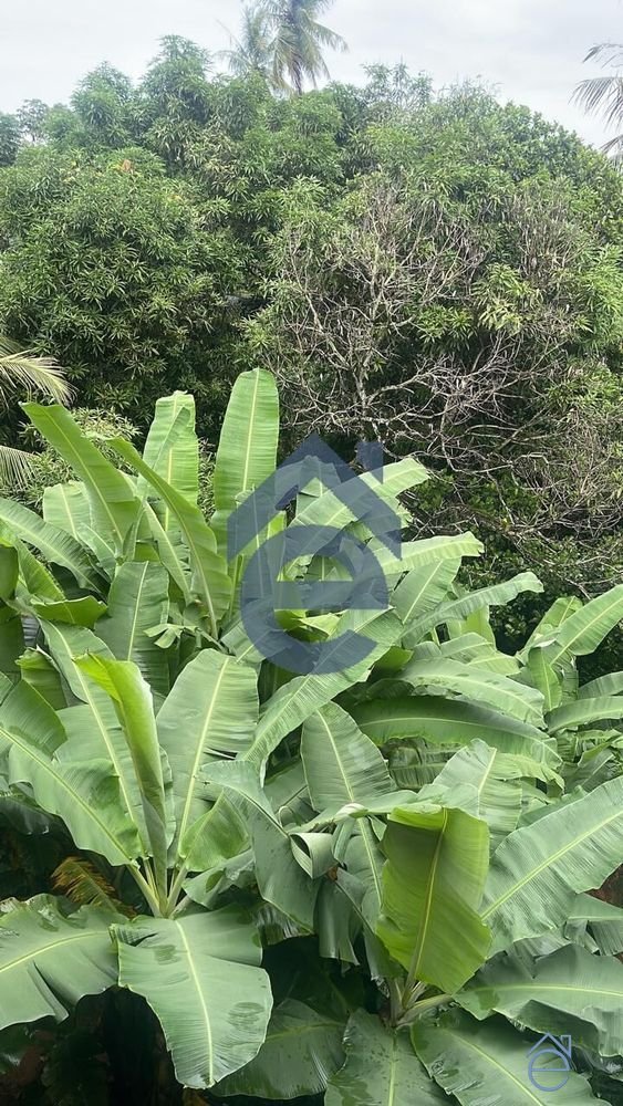 Casa à venda, Barro Duro, 3 quartos, um suite, ótima localização - Foto 13